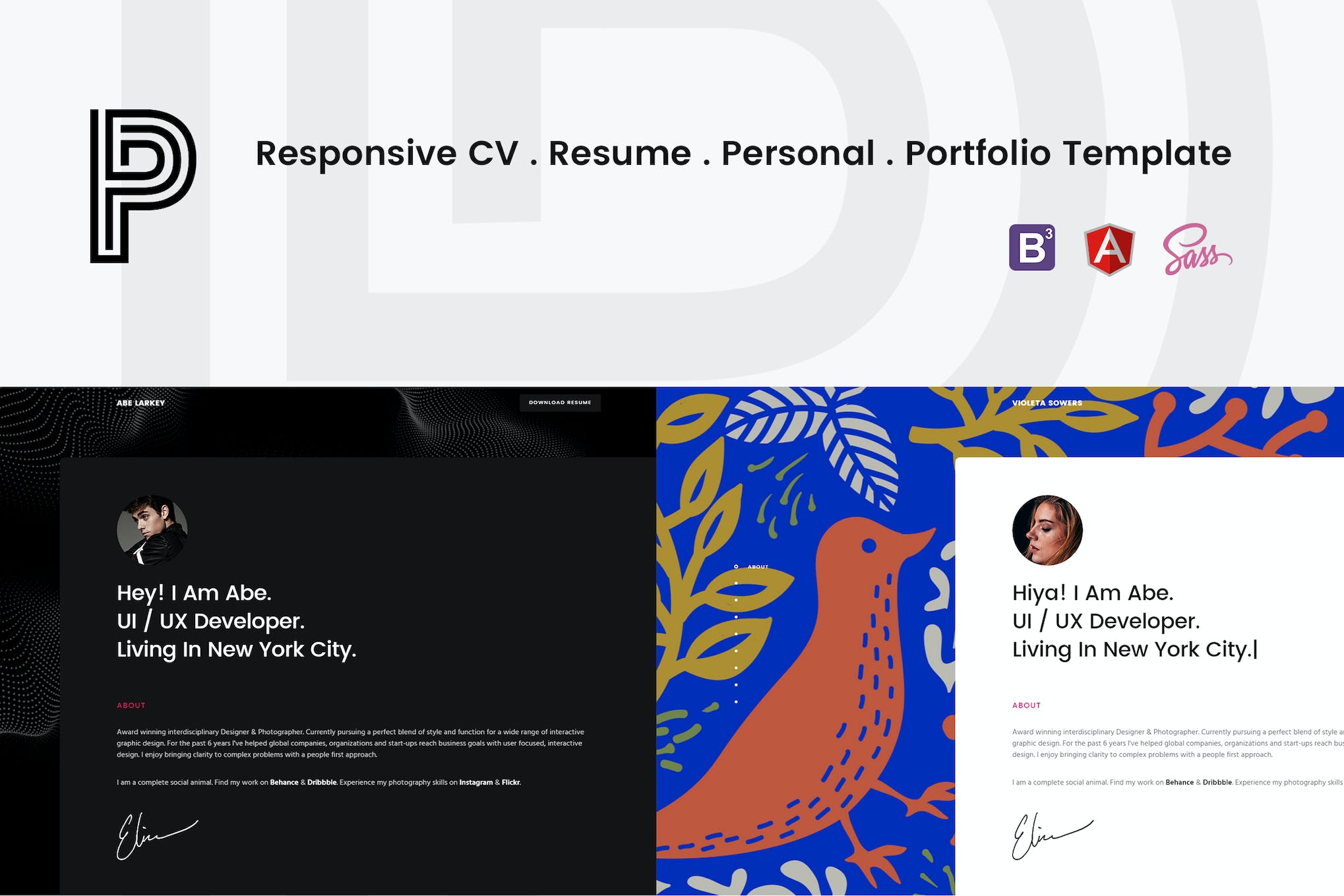 Penelope Responsive CV / Resume Template Download for Wordpress